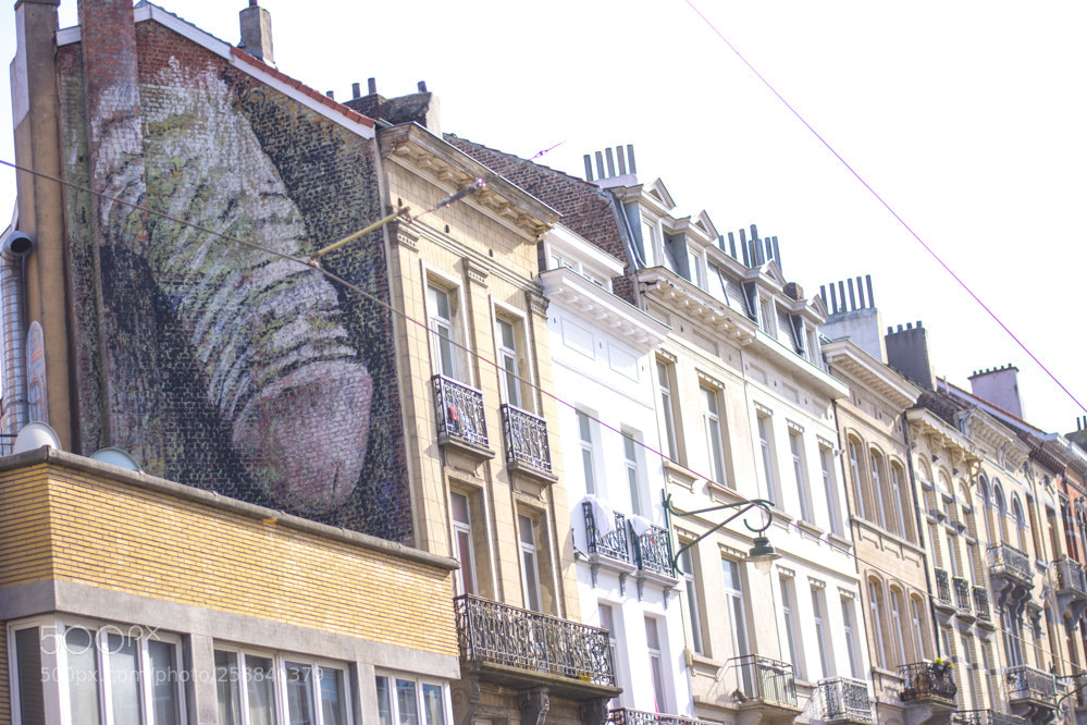 Nikon D5200 sample photo. Dans la villespringbruxelles photography