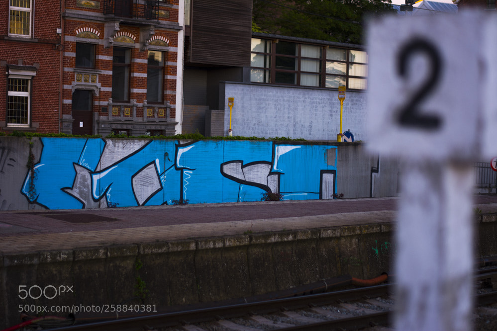 Nikon D5200 sample photo. Dans la villespringnivelles photography