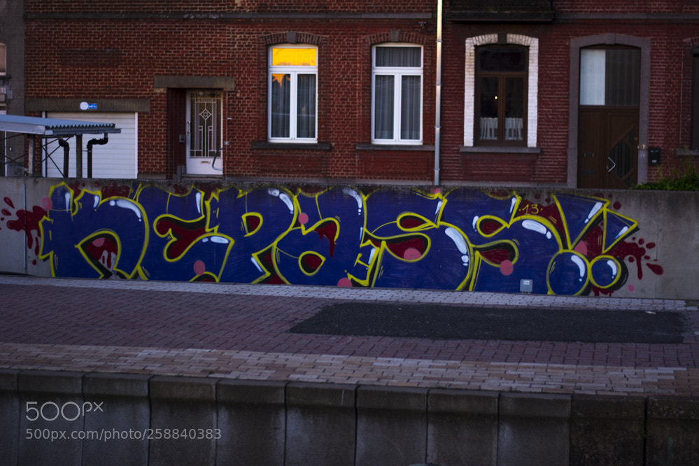 Nikon D5200 sample photo. Dans la villespringnivelles photography
