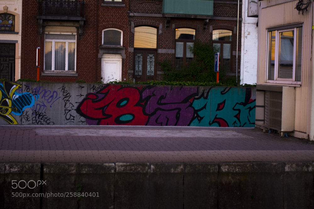 Nikon D5200 sample photo. Dans la villespringnivelles photography