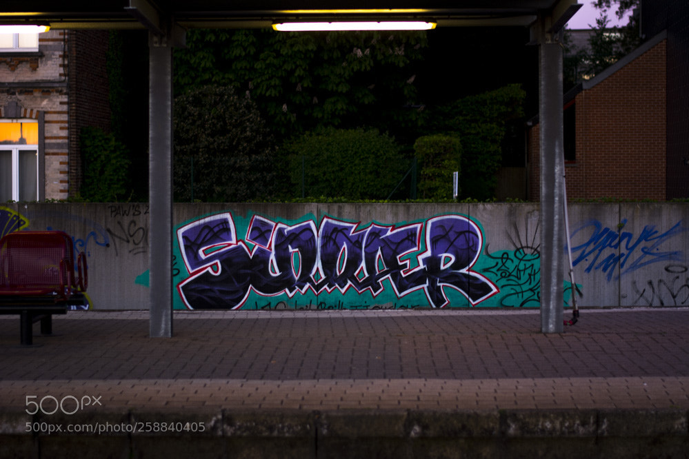 Nikon D5200 sample photo. Dans la villespringnivelles photography