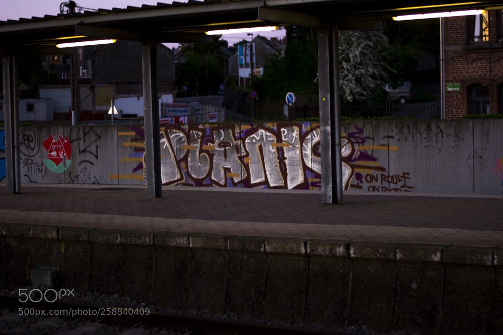 Nikon D5200 sample photo. Dans la villespringnivelles photography