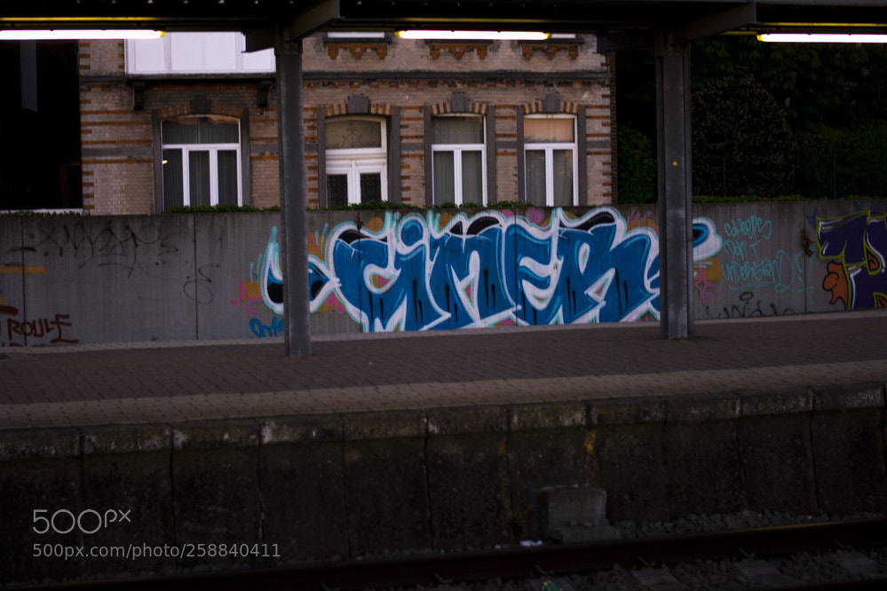 Nikon D5200 sample photo. Dans la villespringnivelles photography