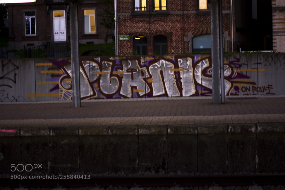 Nikon D5200 sample photo. Dans la villespringnivelles photography