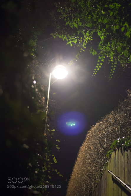 Nikon D5200 sample photo. Herman debrouwinteroutdoor photography