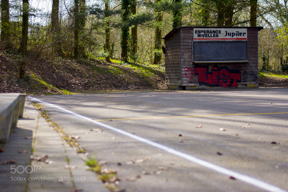 Nikon D5200 sample photo. Nivellesspringparc photography