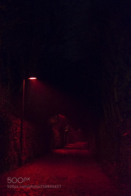 Nikon D5200 sample photo. Rouges cloitreswinteroutdoor photography