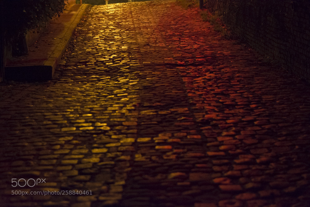 Nikon D5200 sample photo. Rouges cloitreswinteroutdoor photography