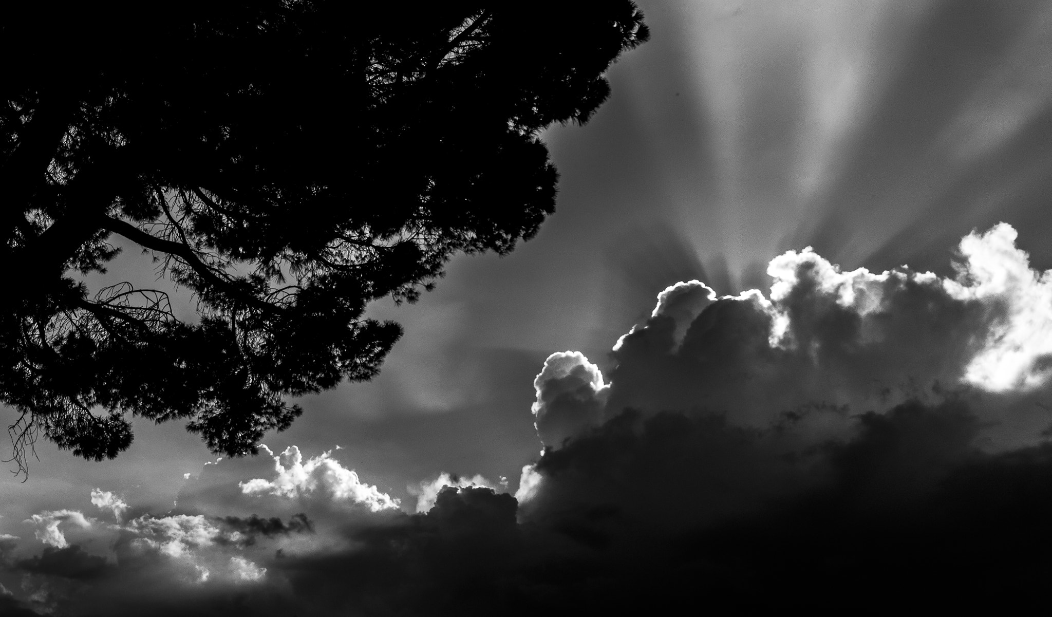Nikon 1 J5 sample photo. ***** photography