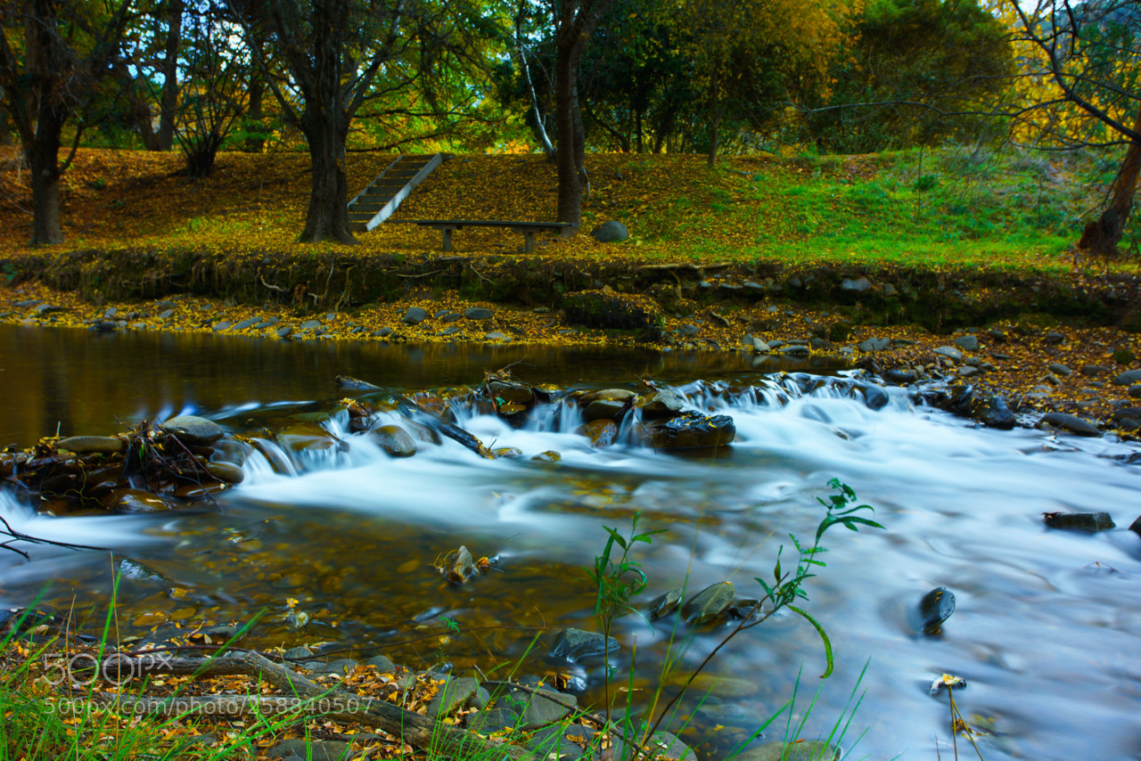 Sony a7R II sample photo. Dsc photography