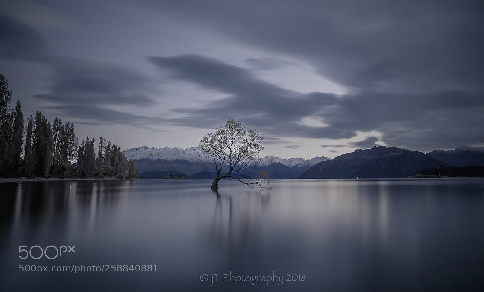 Sony a7R III sample photo. Lone tree of lake photography