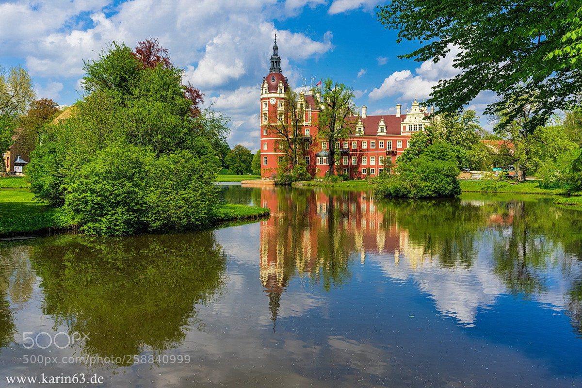 Sony a7 II sample photo. Fürst-pückler-park photography