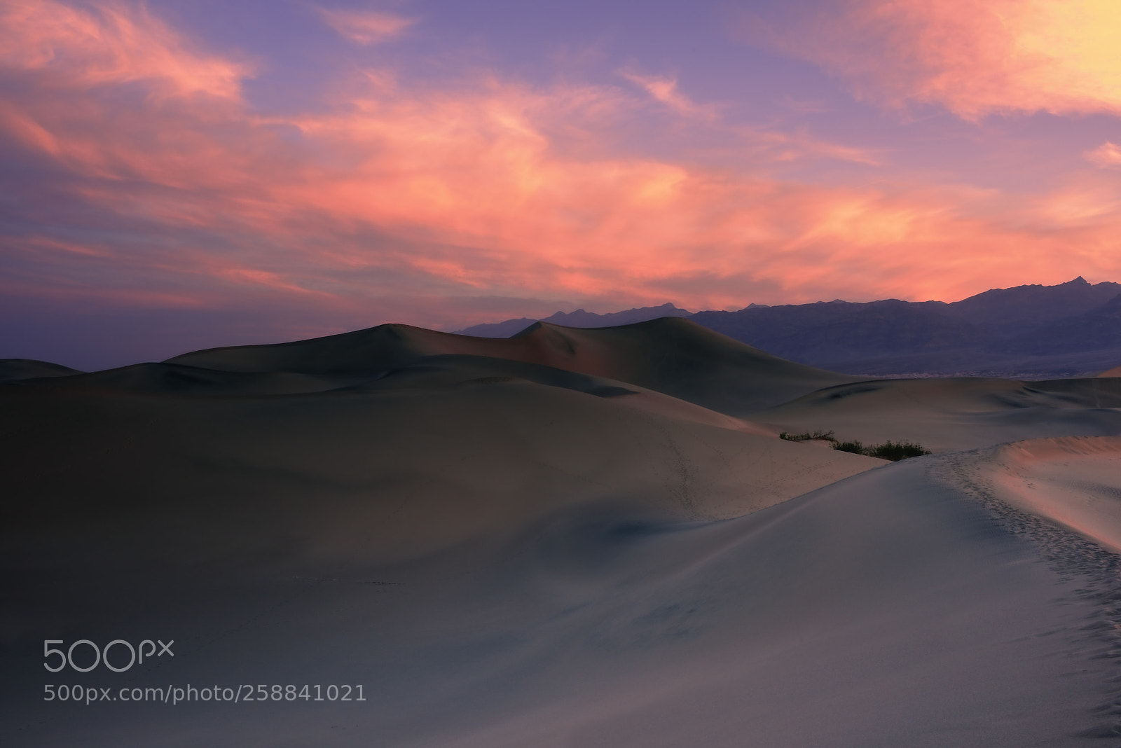 Nikon D810 sample photo. Mesquite flat sand dunes photography