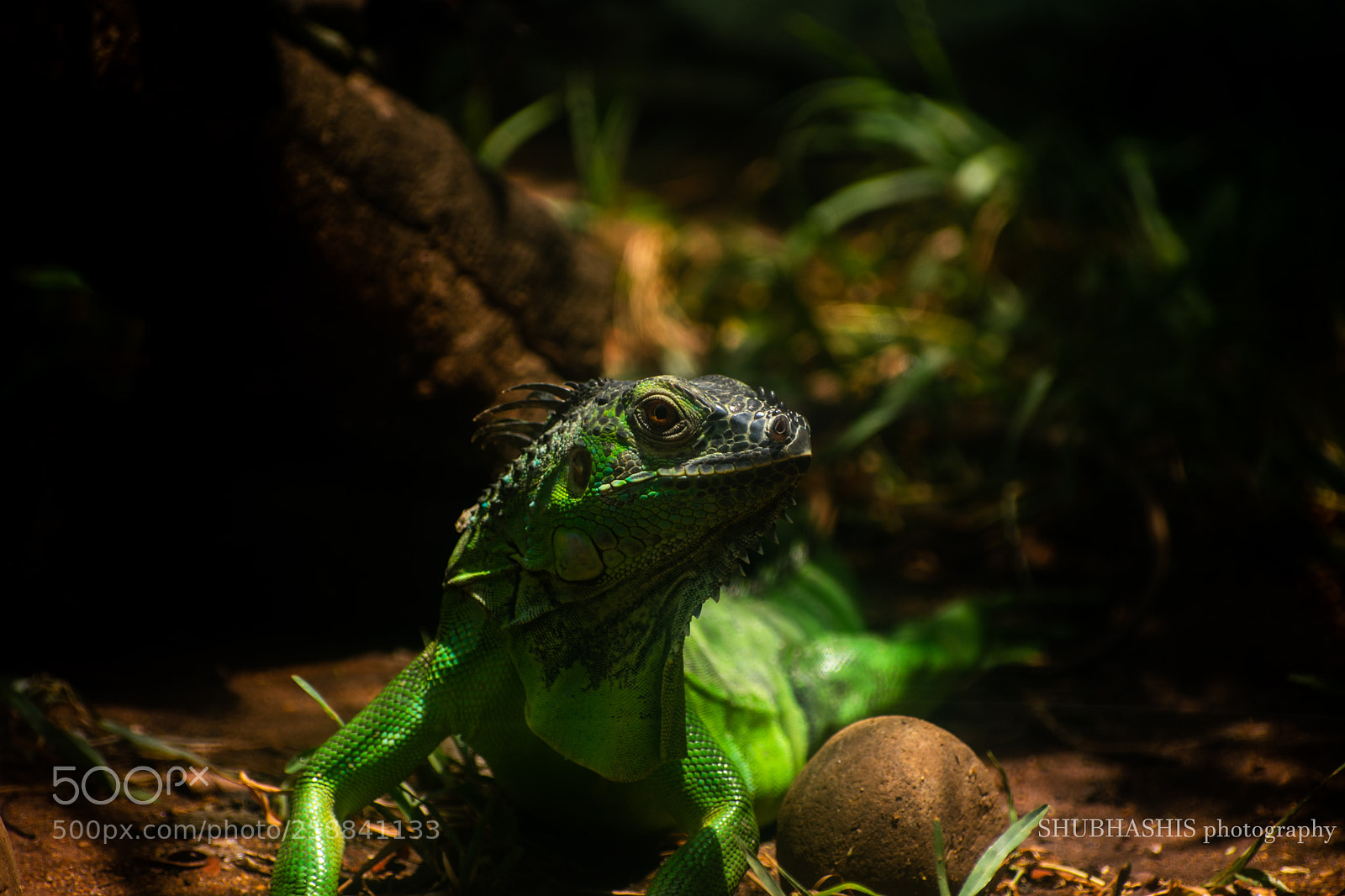 Nikon D3400 sample photo. Oh shit see saw photography