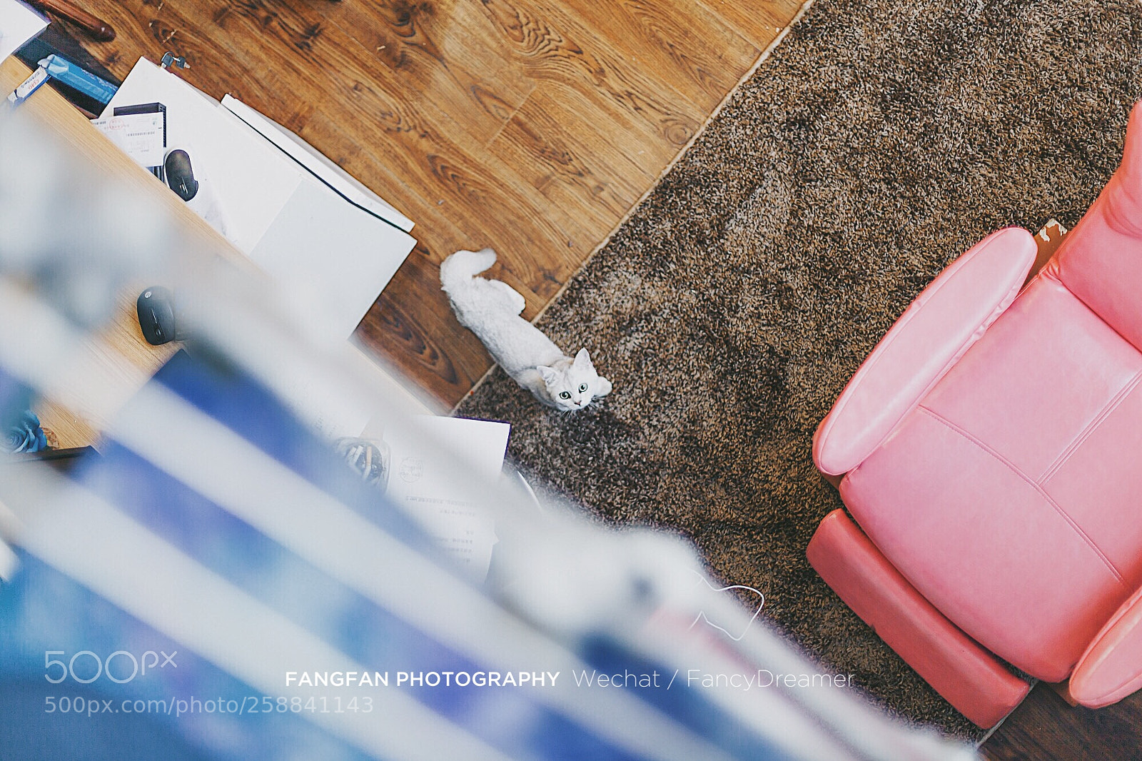 Canon EOS 5D Mark II sample photo. 等我 photography