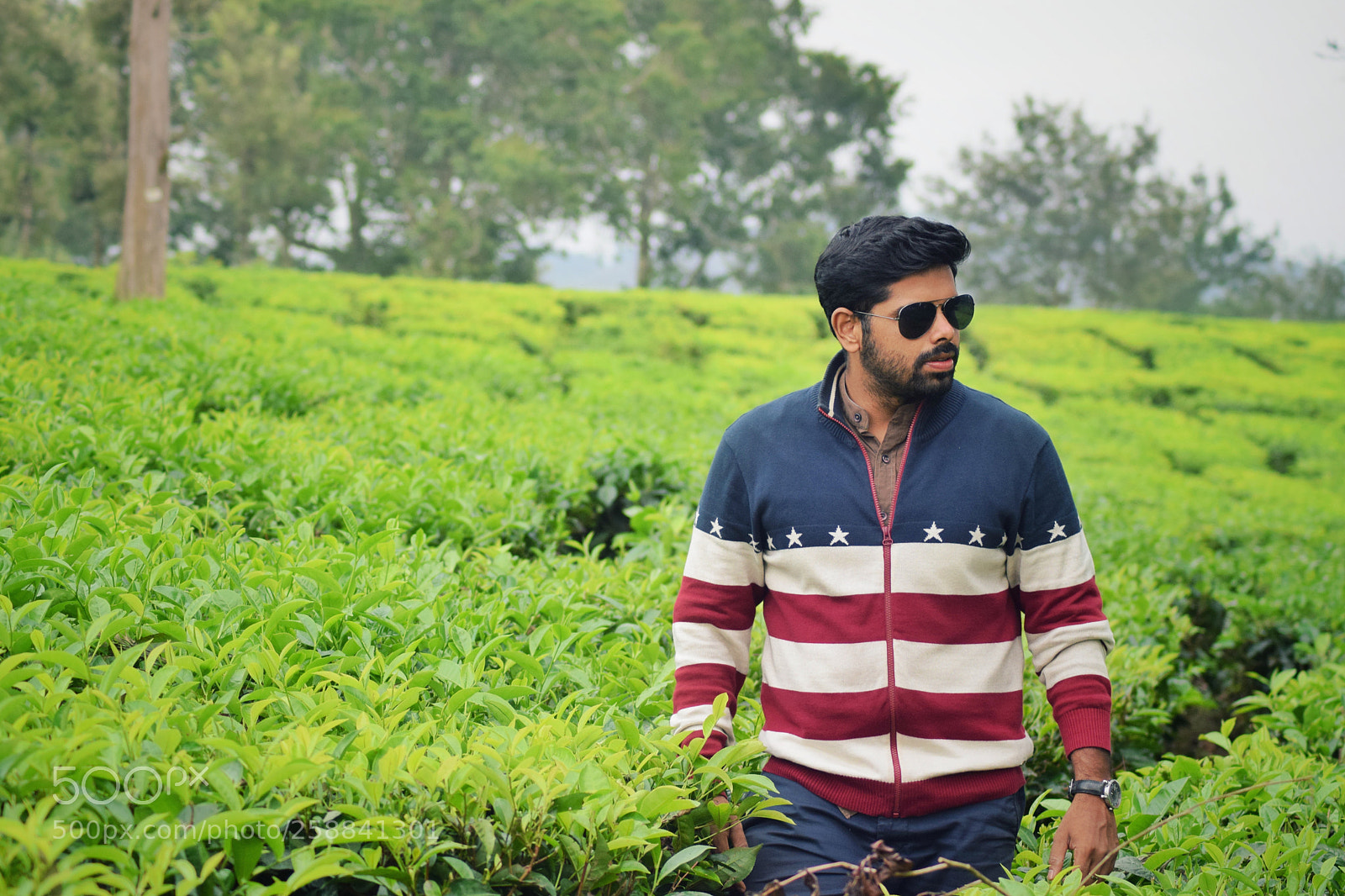 Nikon D3300 sample photo. Handsome buddy photography
