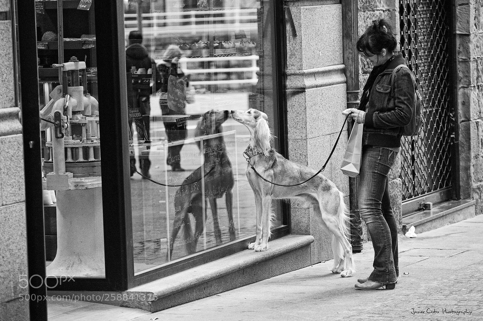 Fujifilm X-T1 sample photo. Untitled photography