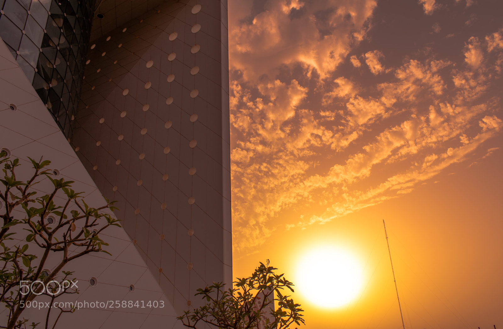 Nikon D5300 sample photo. Sunset behind the green photography