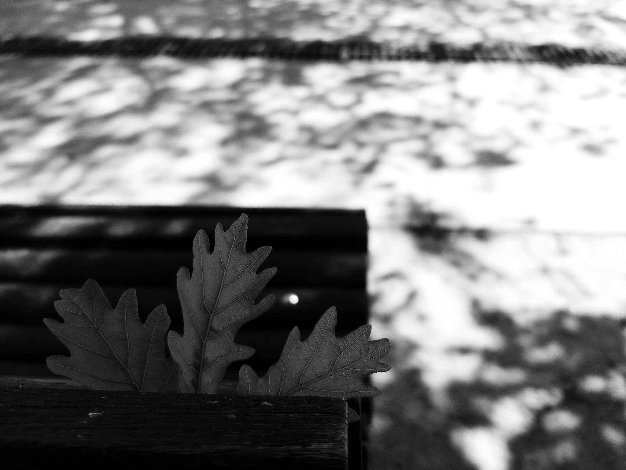 Xiaomi MI 5 sample photo. Interes de los grupos de tres photography