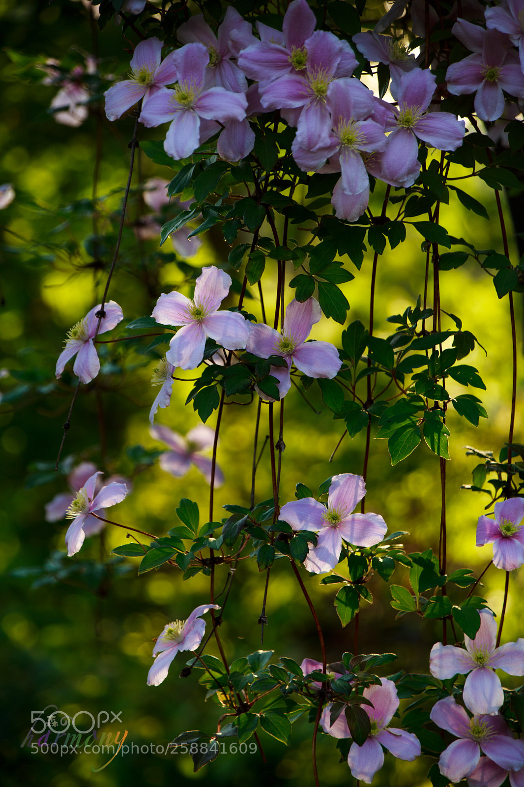 Canon EOS 6D sample photo. At sun down photography
