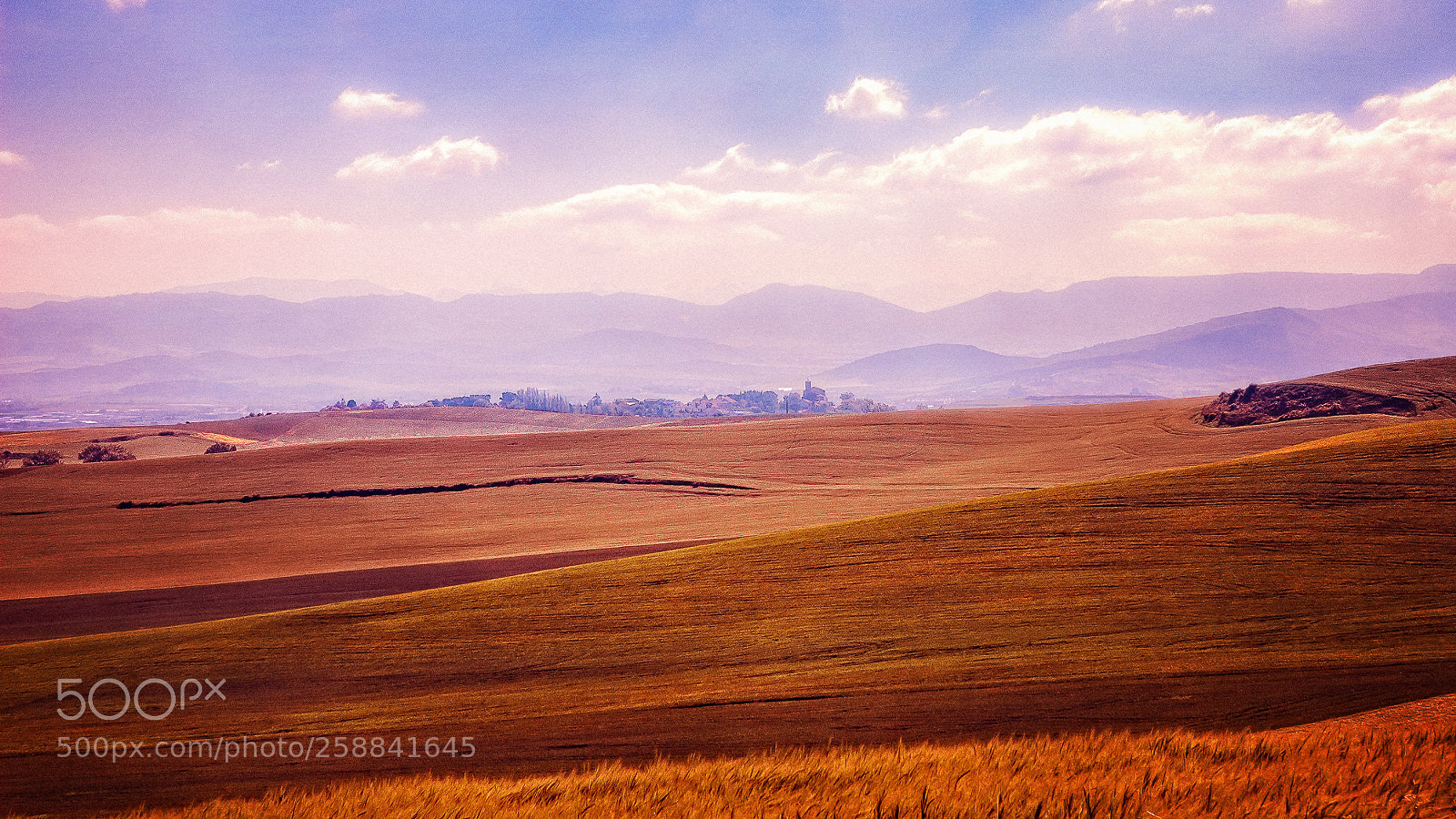 Nikon D70s sample photo. Camino de santiago - 39/40 photography