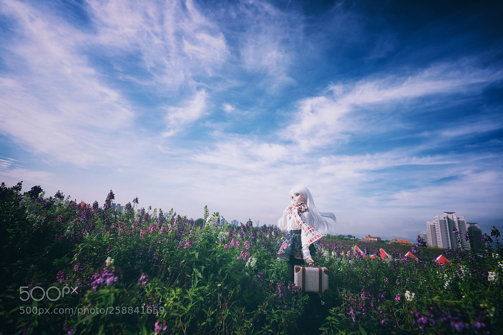 Canon EOS 6D Mark II sample photo. 漂向遠方 photography