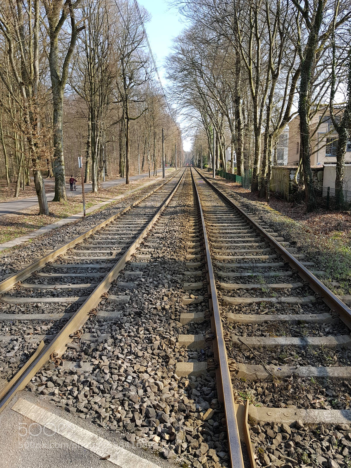 Samsung Galaxy S8+ sample photo. Line photography