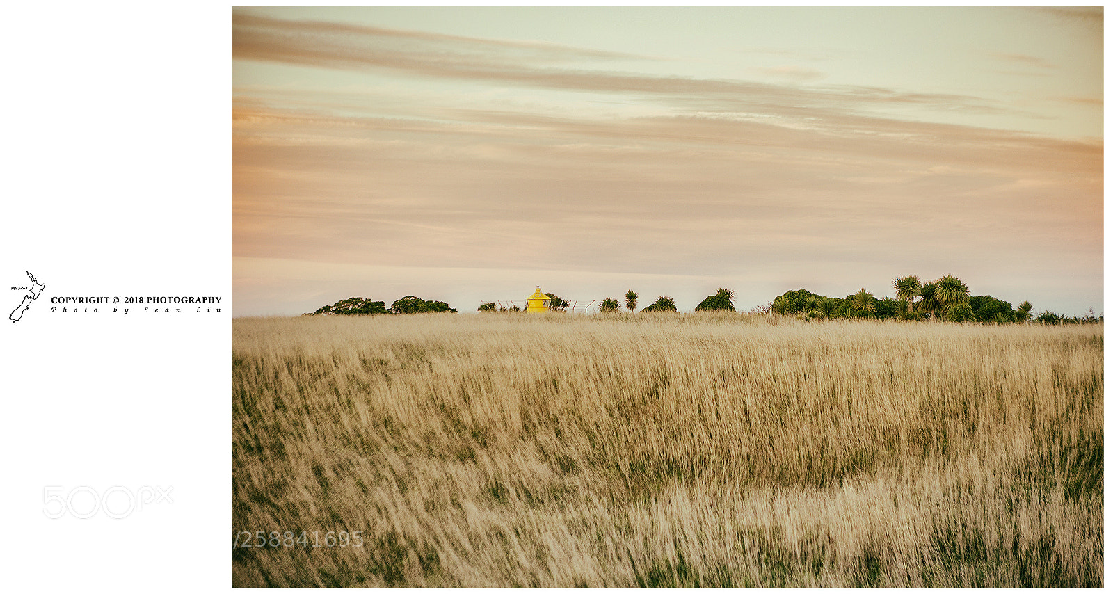 Canon EOS 6D sample photo. Kaikoura peninsula photography