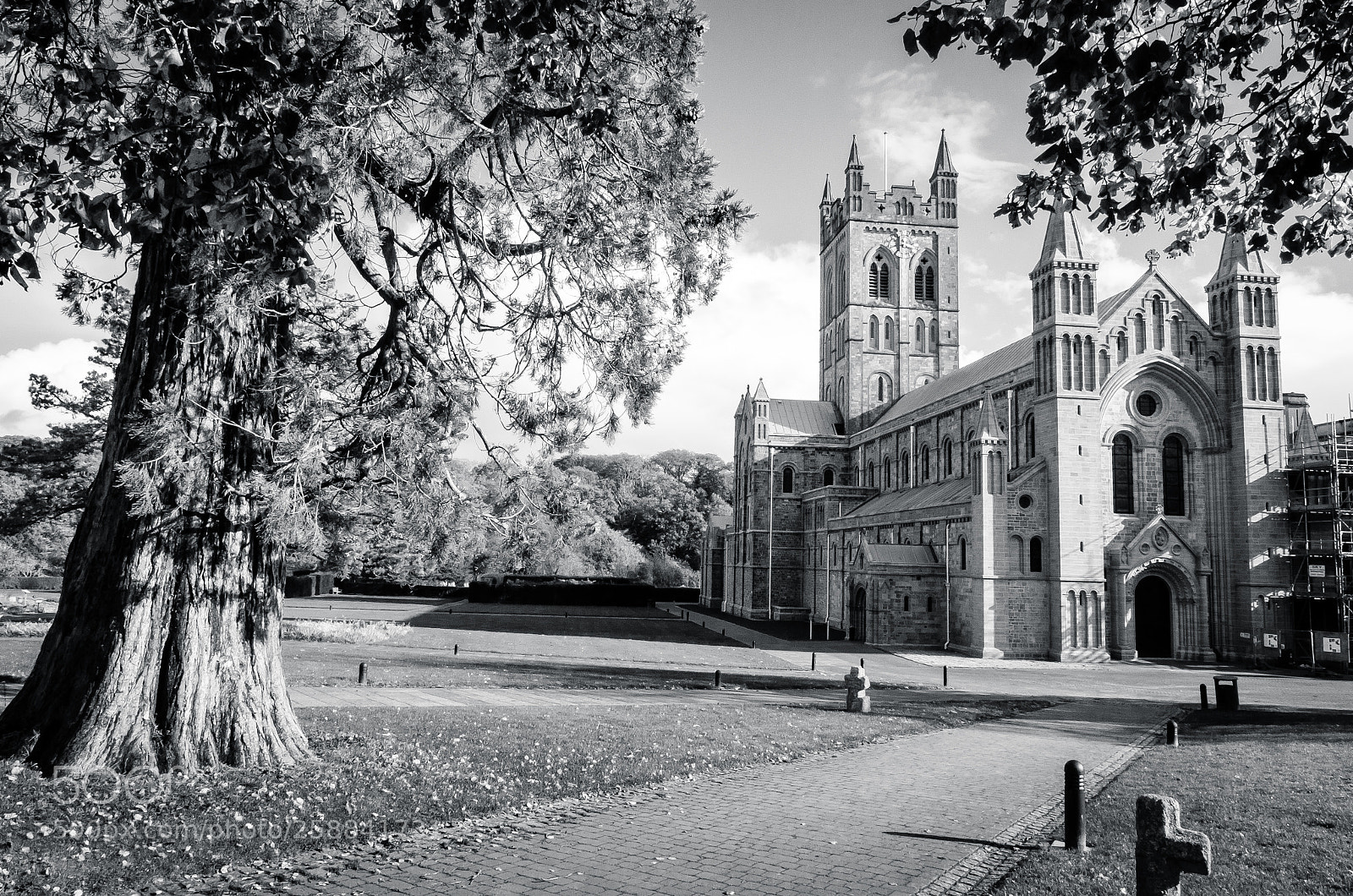 Nikon D7000 sample photo. Buckfast abbey on the photography