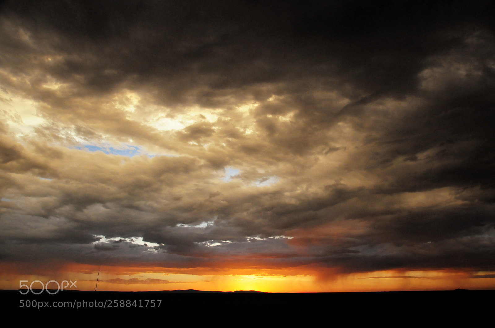 Nikon D300 sample photo. Storm approaching okaukuejo photography