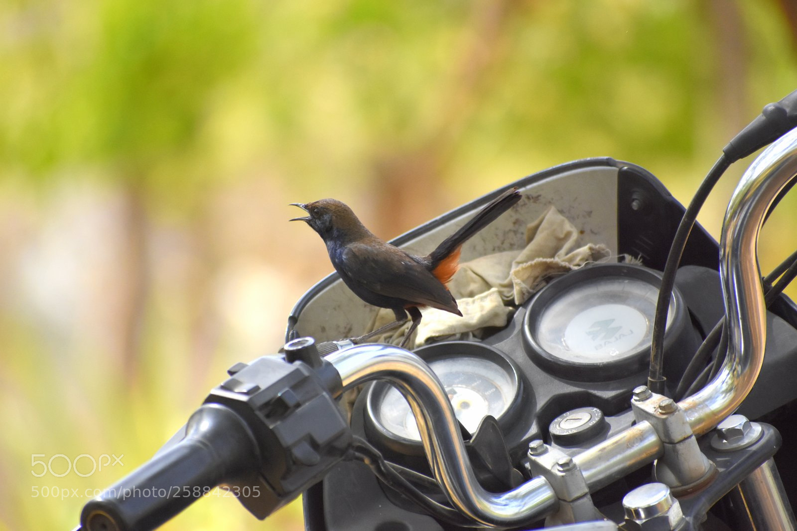 Nikon D7200 sample photo. Untitled photography