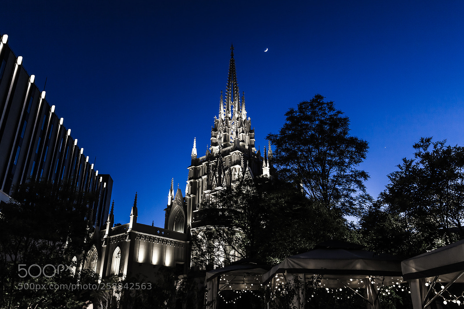 Canon EOS 5D Mark II sample photo. Magic hour photography