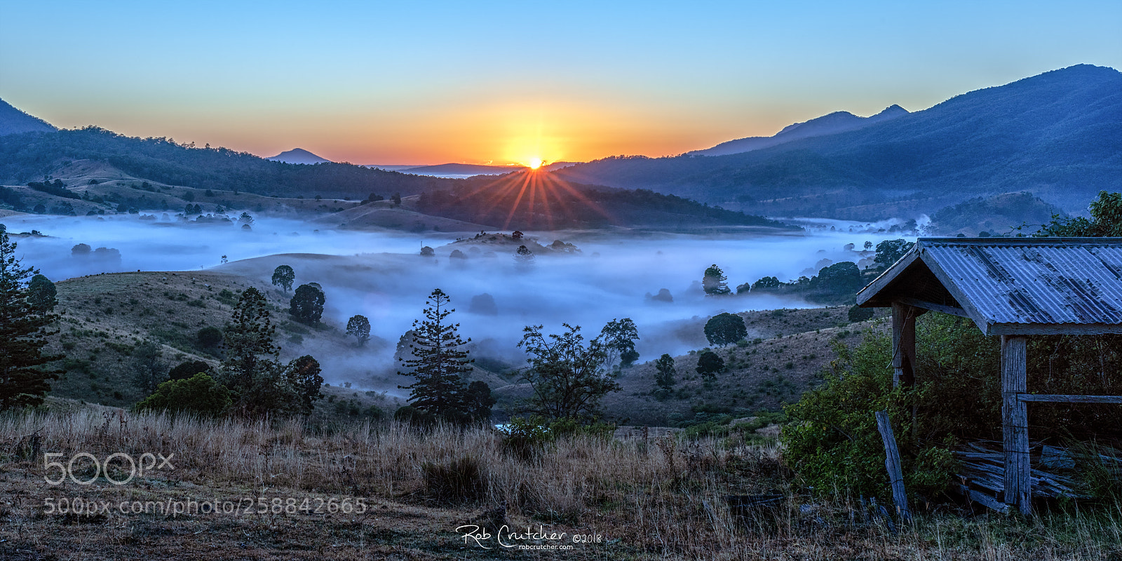 Nikon D810 sample photo. Foggy sunburst sunrise photography