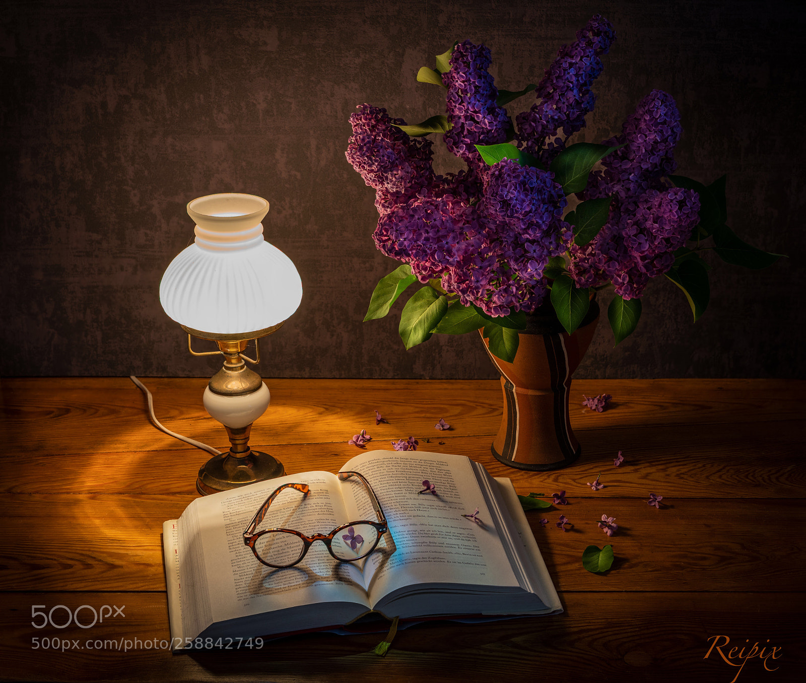 Sony a7R III sample photo. Untitled photography