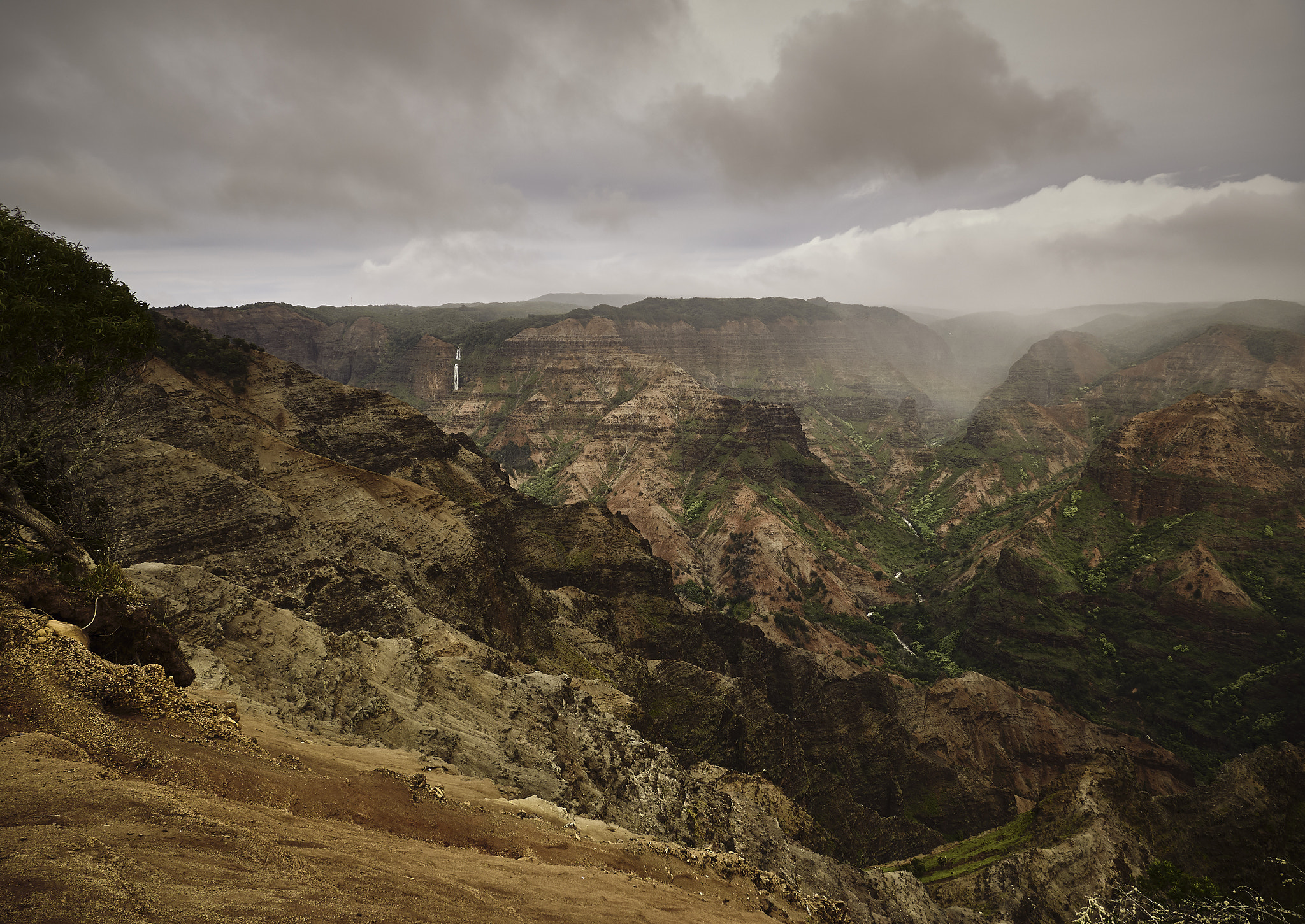 Panasonic Lumix DMC-G85 (Lumix DMC-G80) sample photo. Hawaiian highlands 1 photography