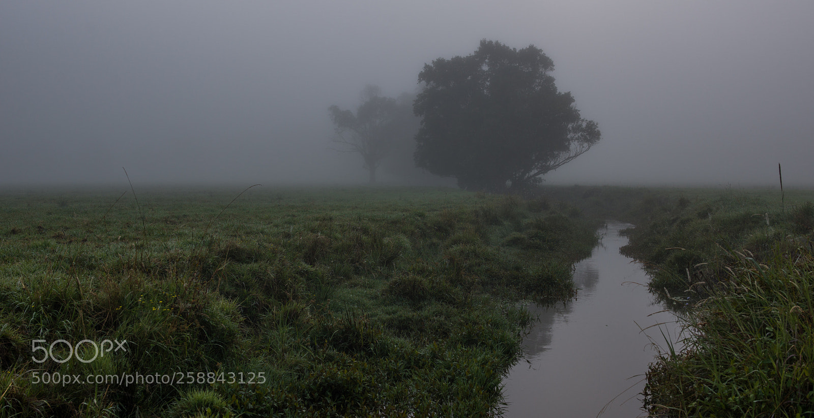 Nikon D610 sample photo. Into the white photography