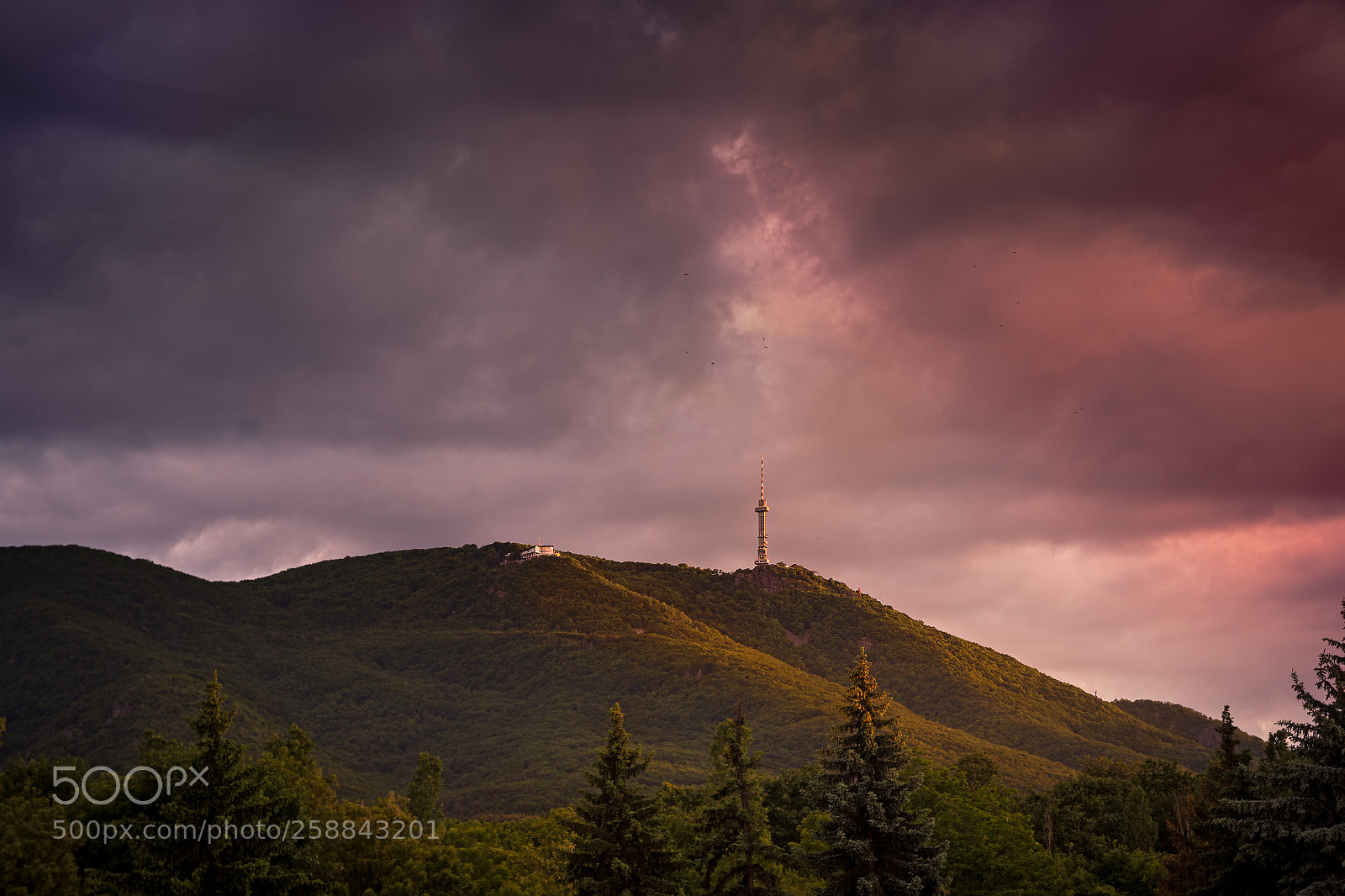 Nikon D7200 sample photo. Tv tower sofia photography