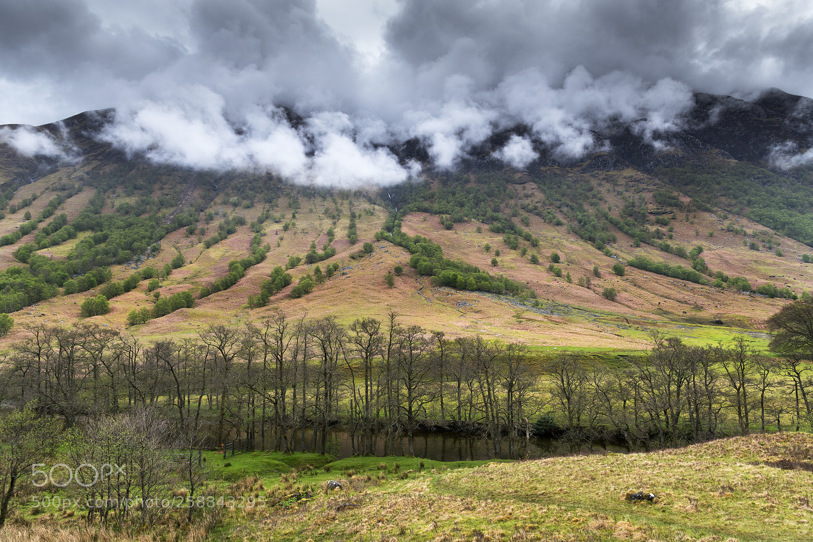 Nikon D850 sample photo. Clouds spilling over. photography