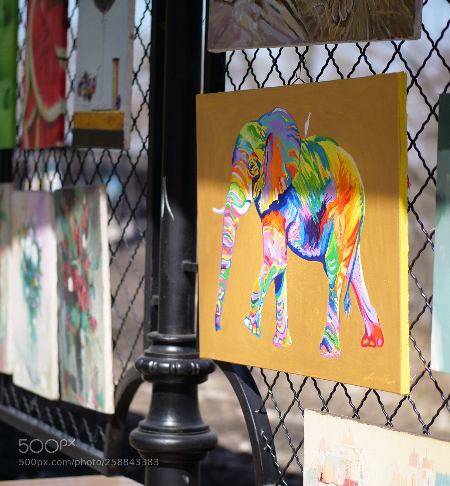 Panasonic Lumix DC-GH5 sample photo. Happy elephant photography