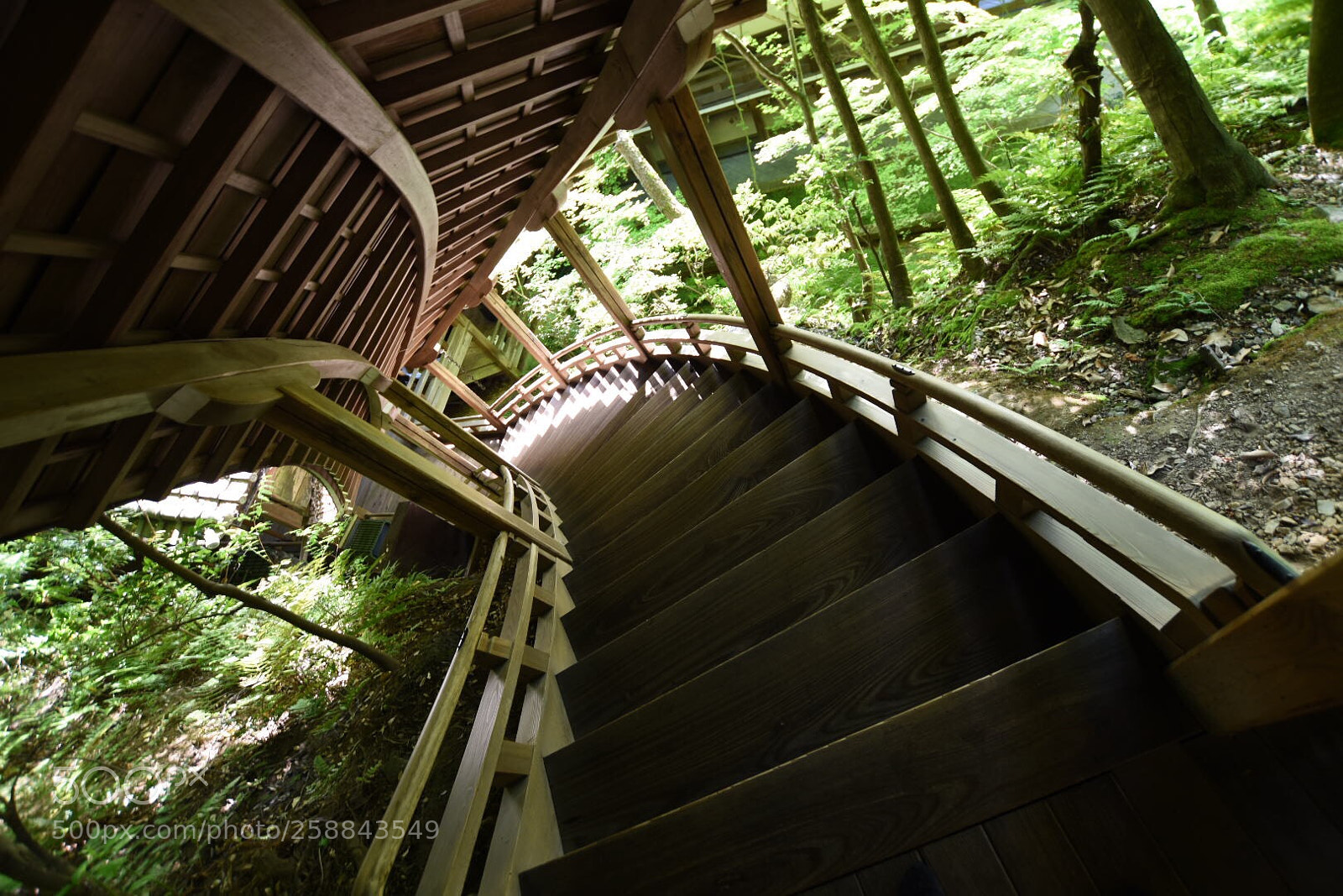 Nikon D7200 sample photo. 永観堂 photography