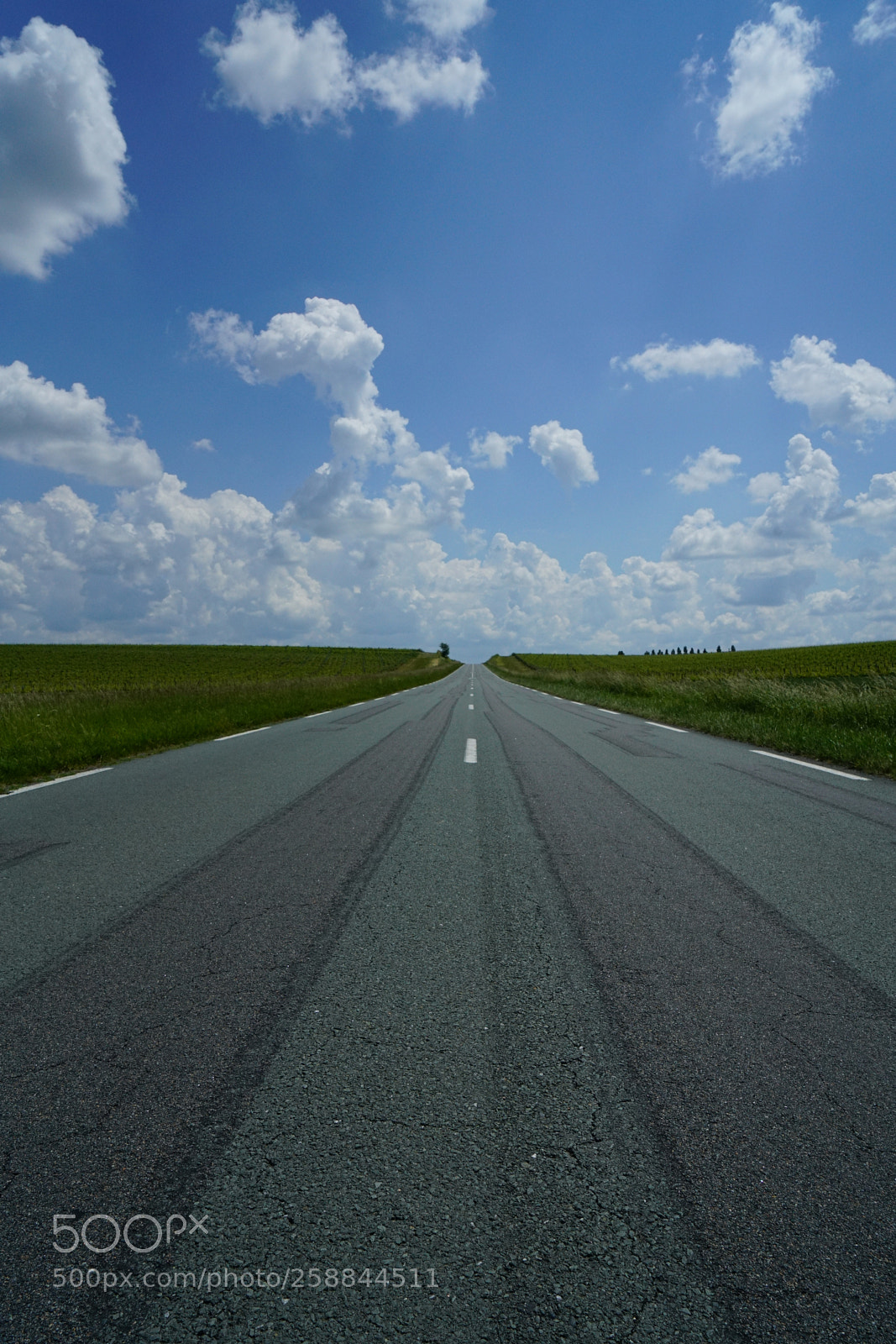 Sony a7R II sample photo. Road to sky photography