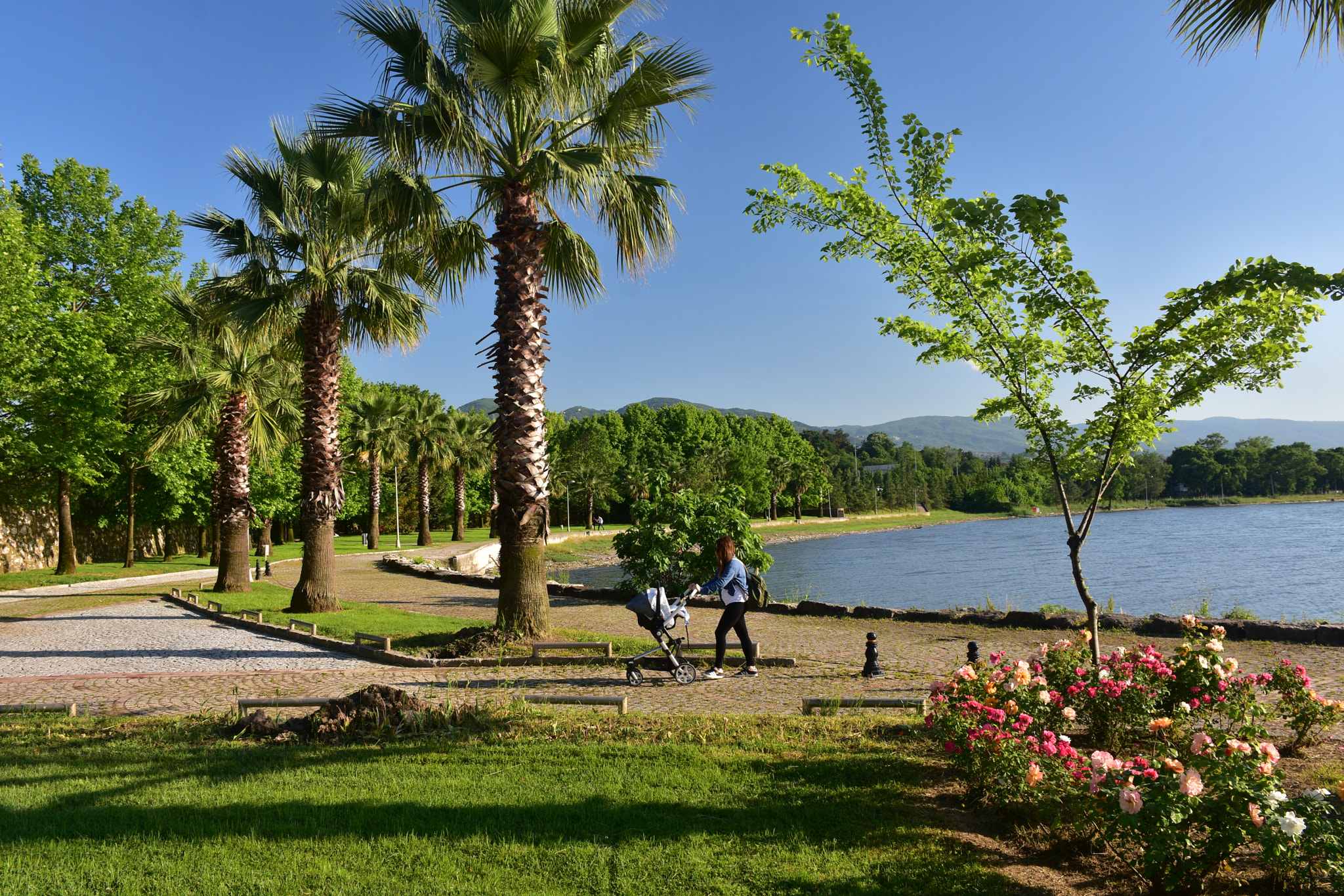 Nikon D7200 sample photo. İzmit bay photography