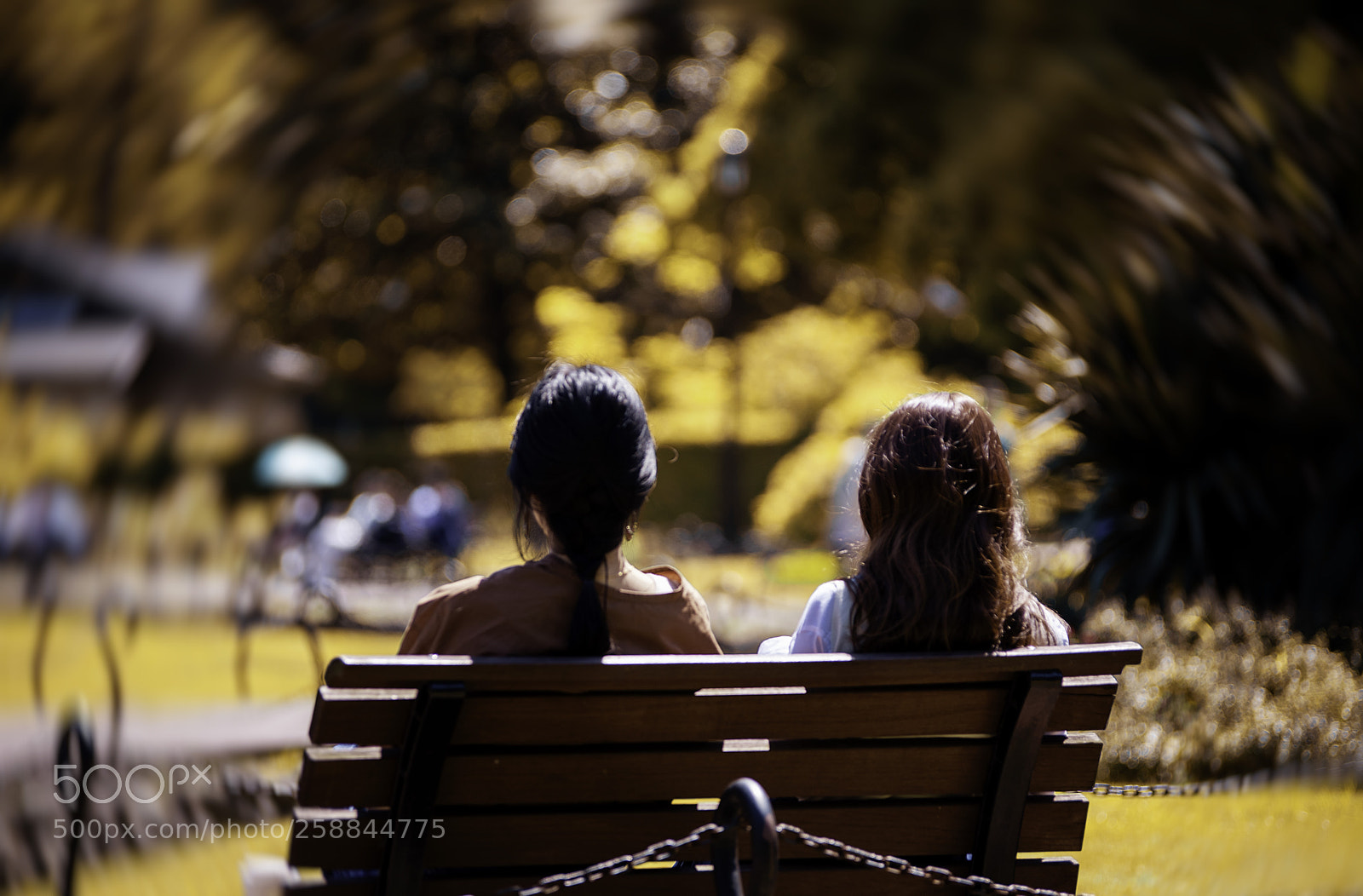 Nikon D810 sample photo. Girls in the park photography