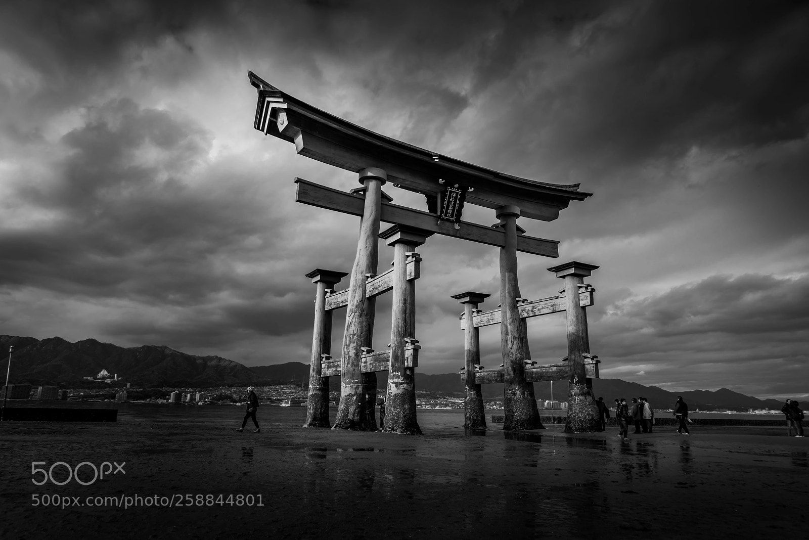 Sony a7R sample photo. Torii gate photography