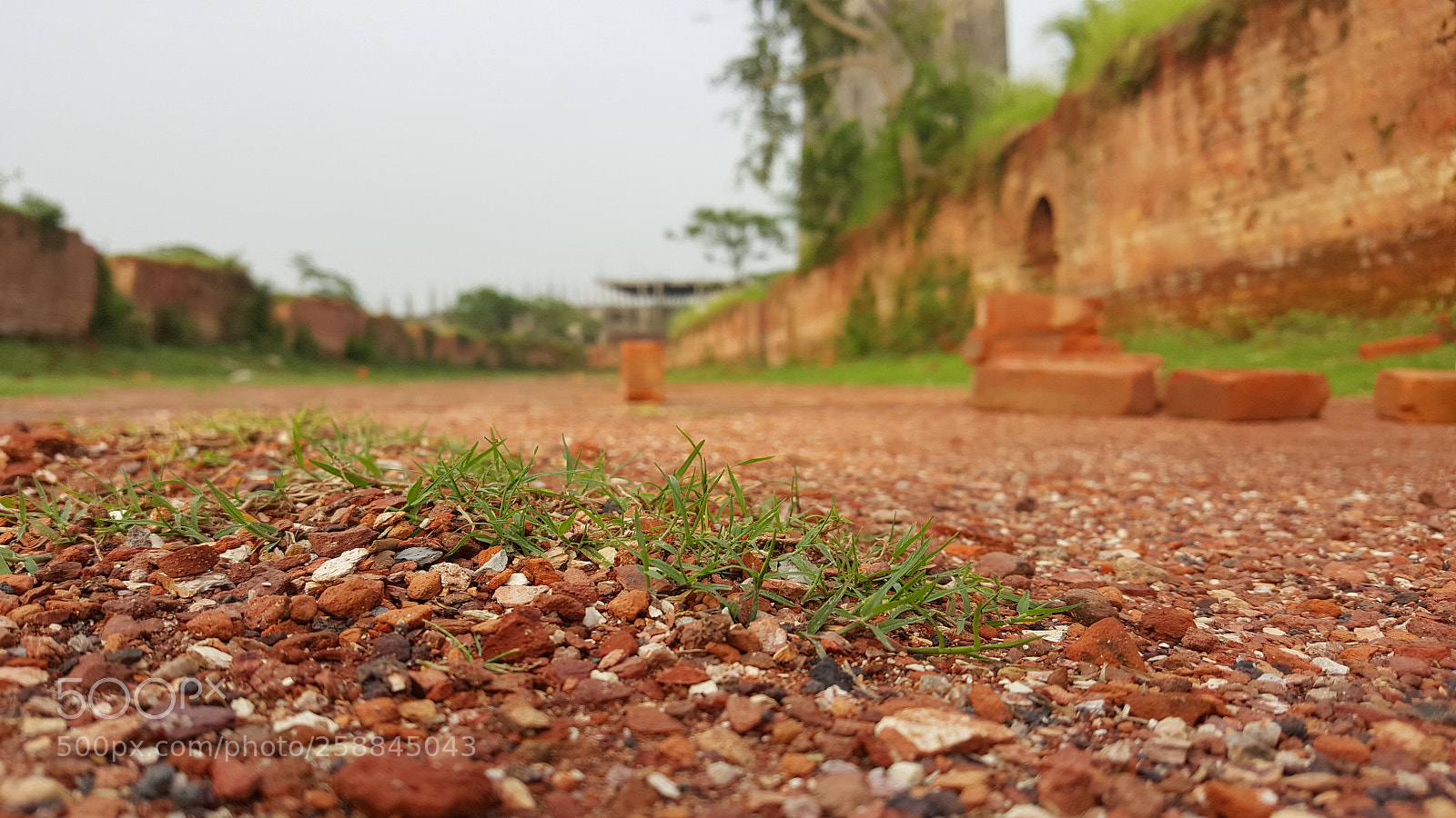 Samsung Galaxy Note5 sample photo. Untitled photography