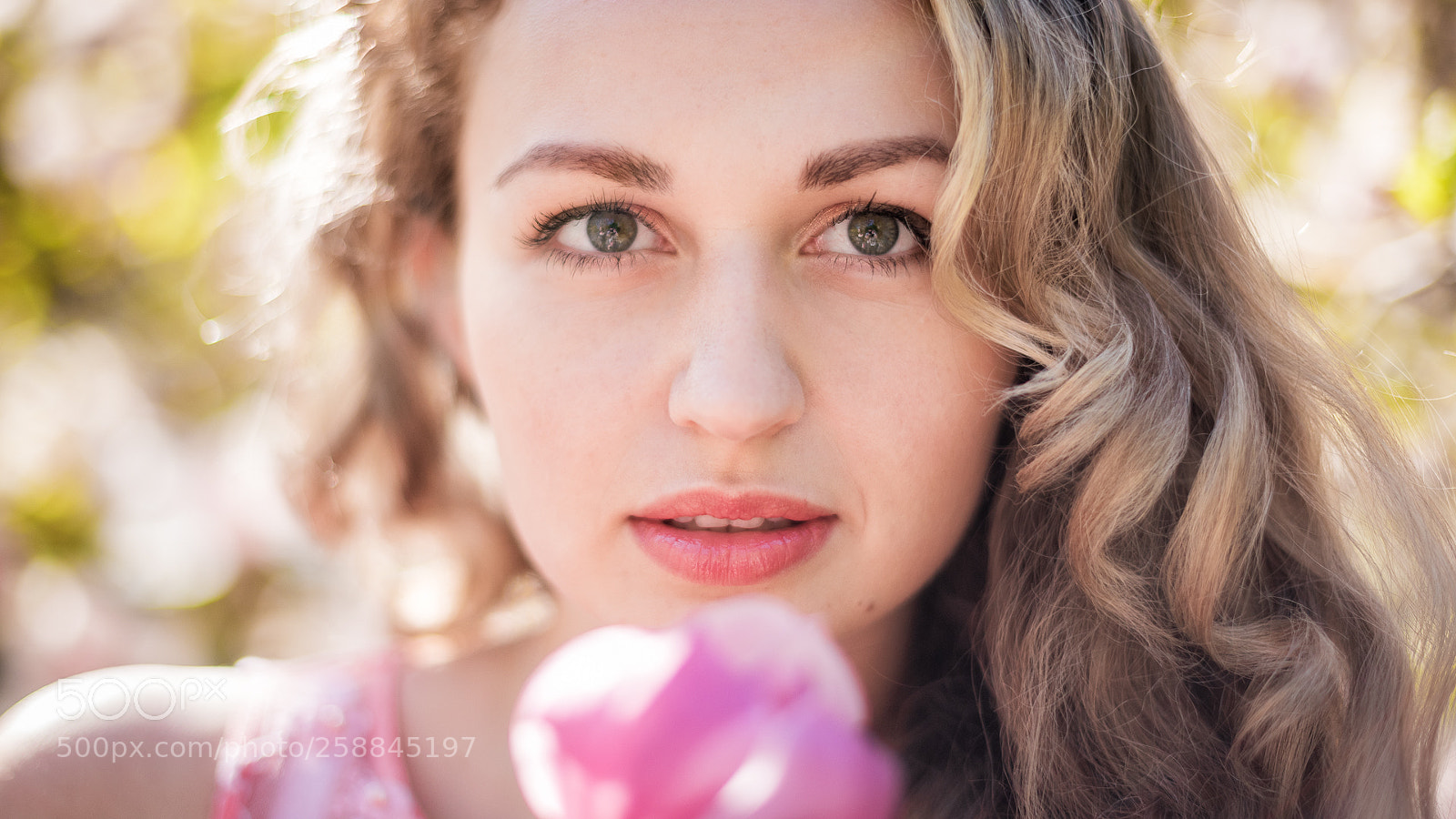Nikon D750 sample photo. Springtime photography