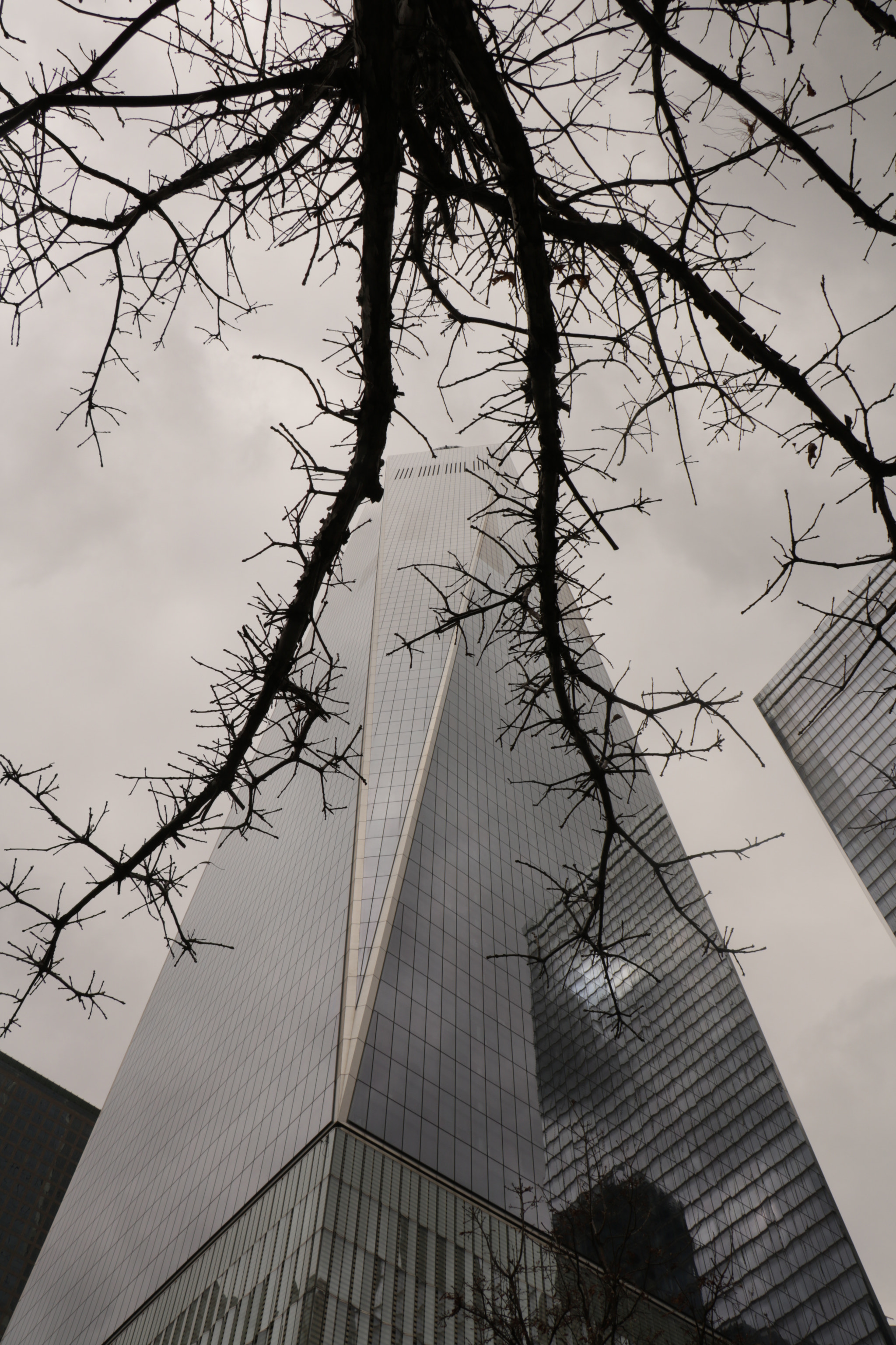 Canon EOS 750D (EOS Rebel T6i / EOS Kiss X8i) sample photo. One world trade centre photography