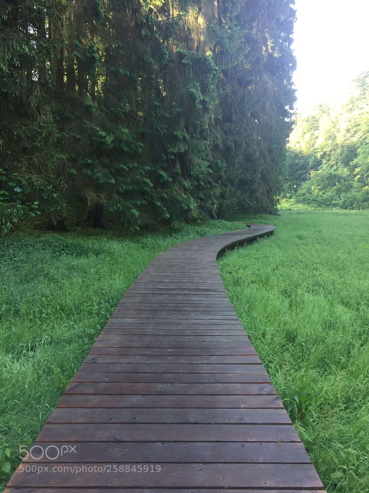 Apple iPhone 6 sample photo. Hiking  photography
