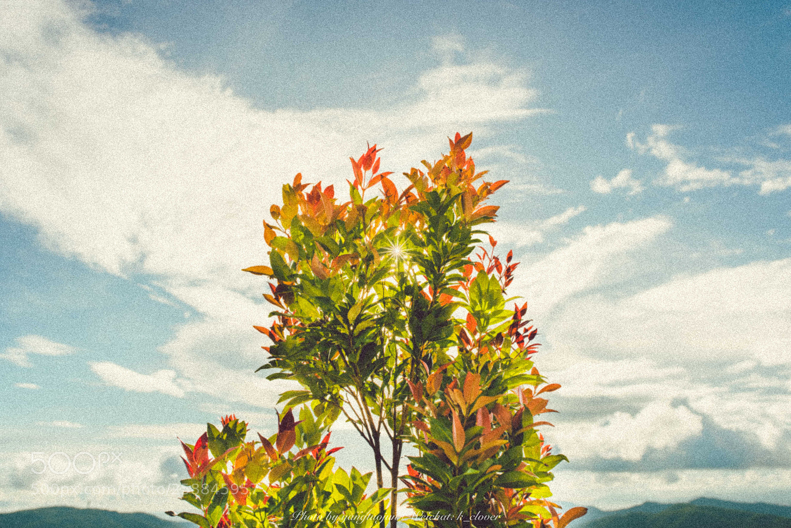 Nikon D810 sample photo. Untitled photography