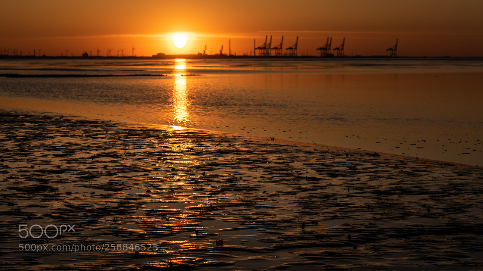 Nikon D810 sample photo. Tide land sunset photography